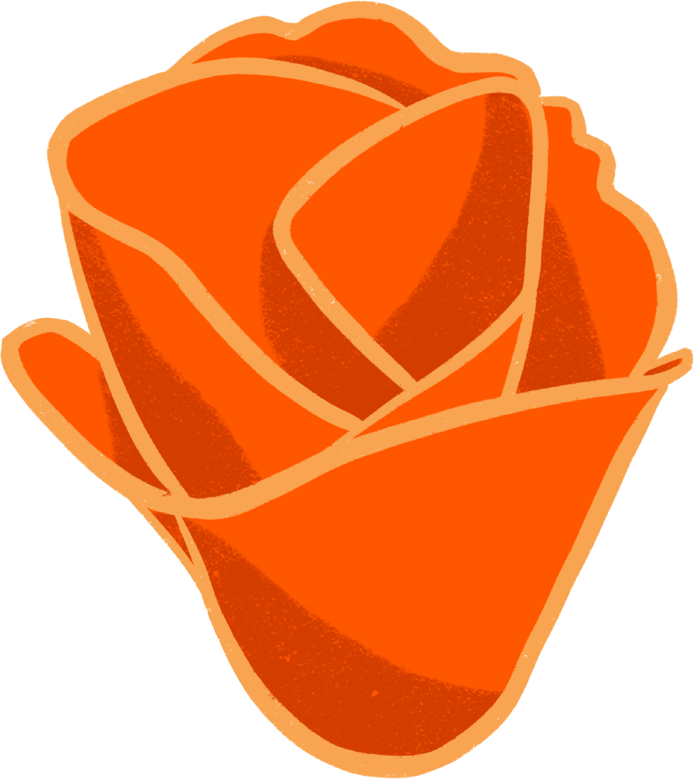 orange tulip sticker.png