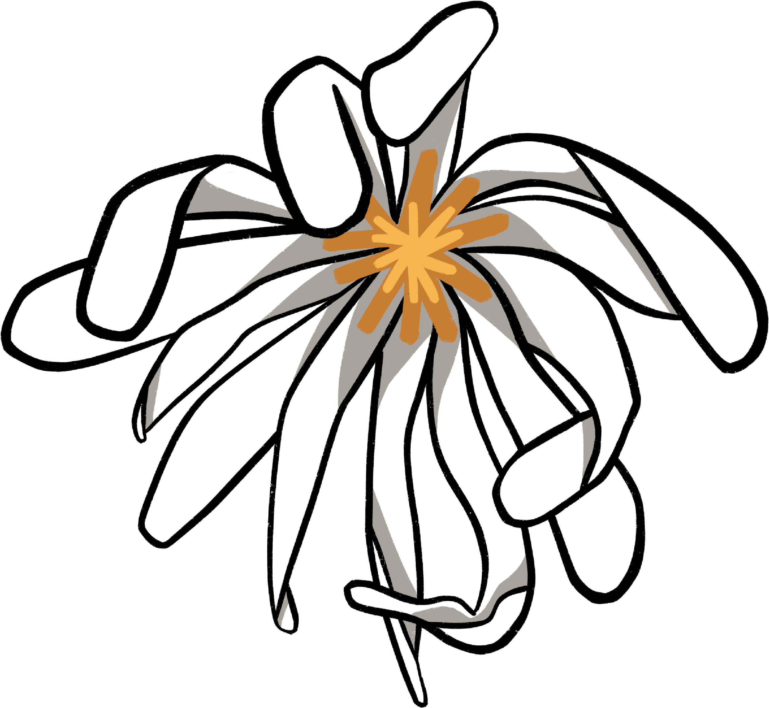 white petal flower 2 sticker.png