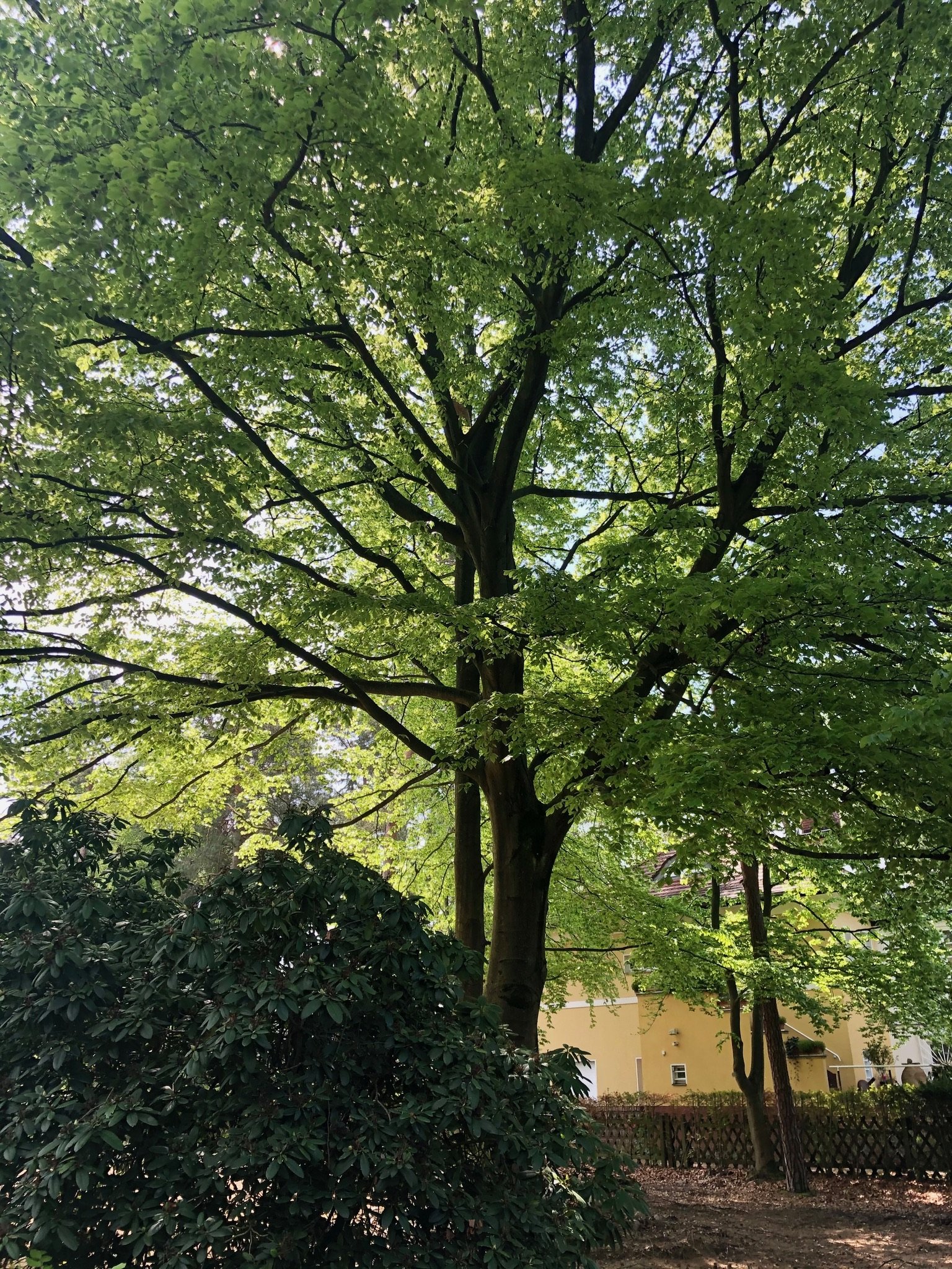 IMG_0422.jpeg
