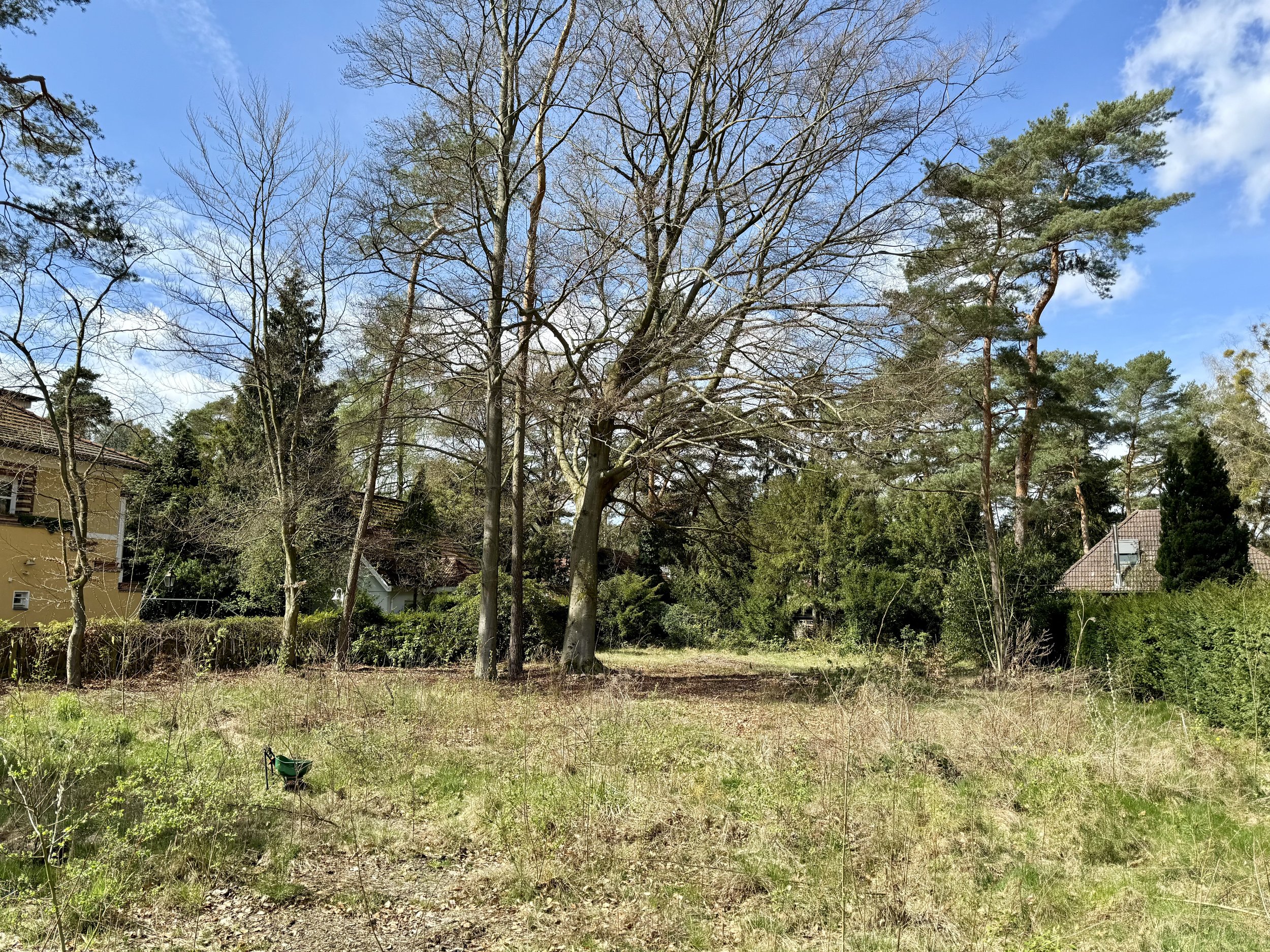 IMG_8369.jpeg