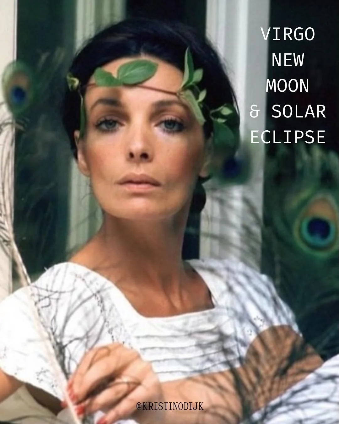 We’ve arrived. Our second Virgo New Moon for the season. And a partial Solar Eclipse. What a growth period this has been.
I really like this New Moon. It does ask for our attention, possibly to the point of distraction, but we’re on trac