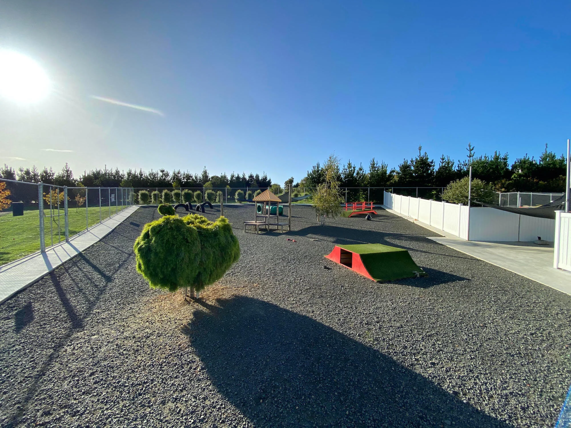 Pets Now Boarding Pet Boarding and Grooming Launceston