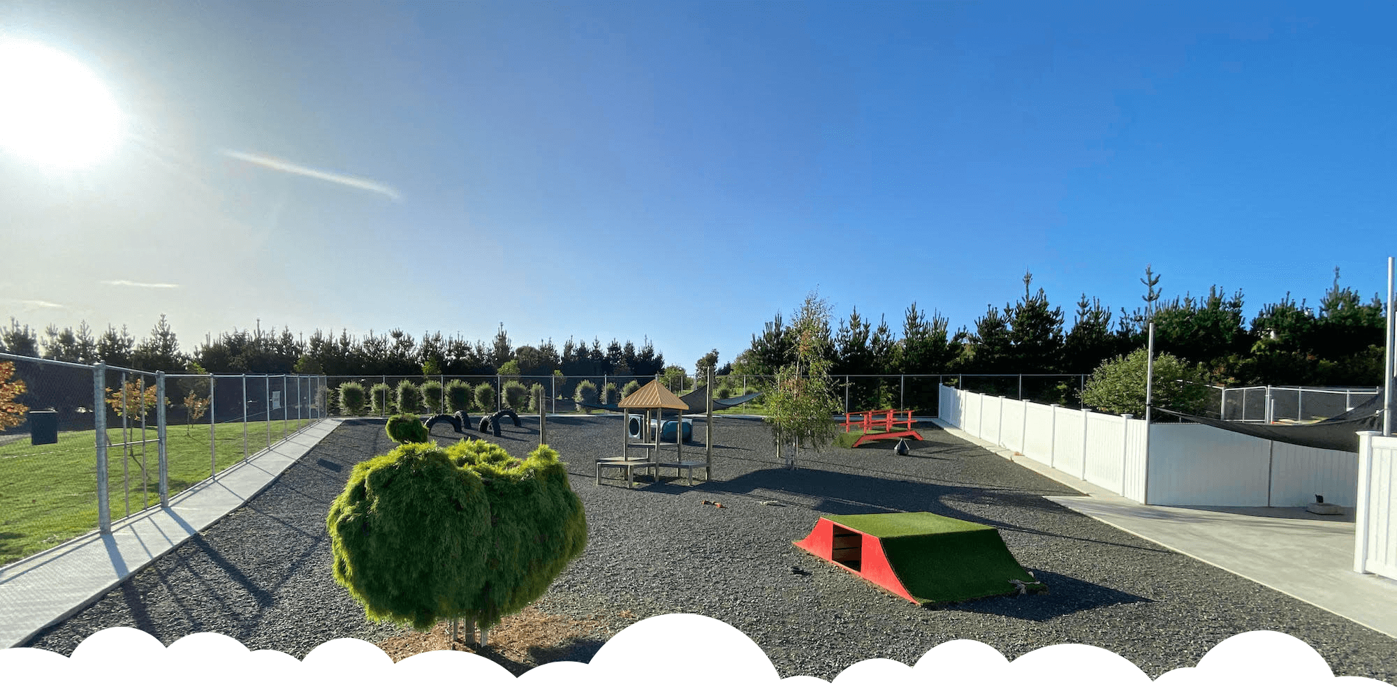 Dog Daycare Launceston Pets Now Boarding