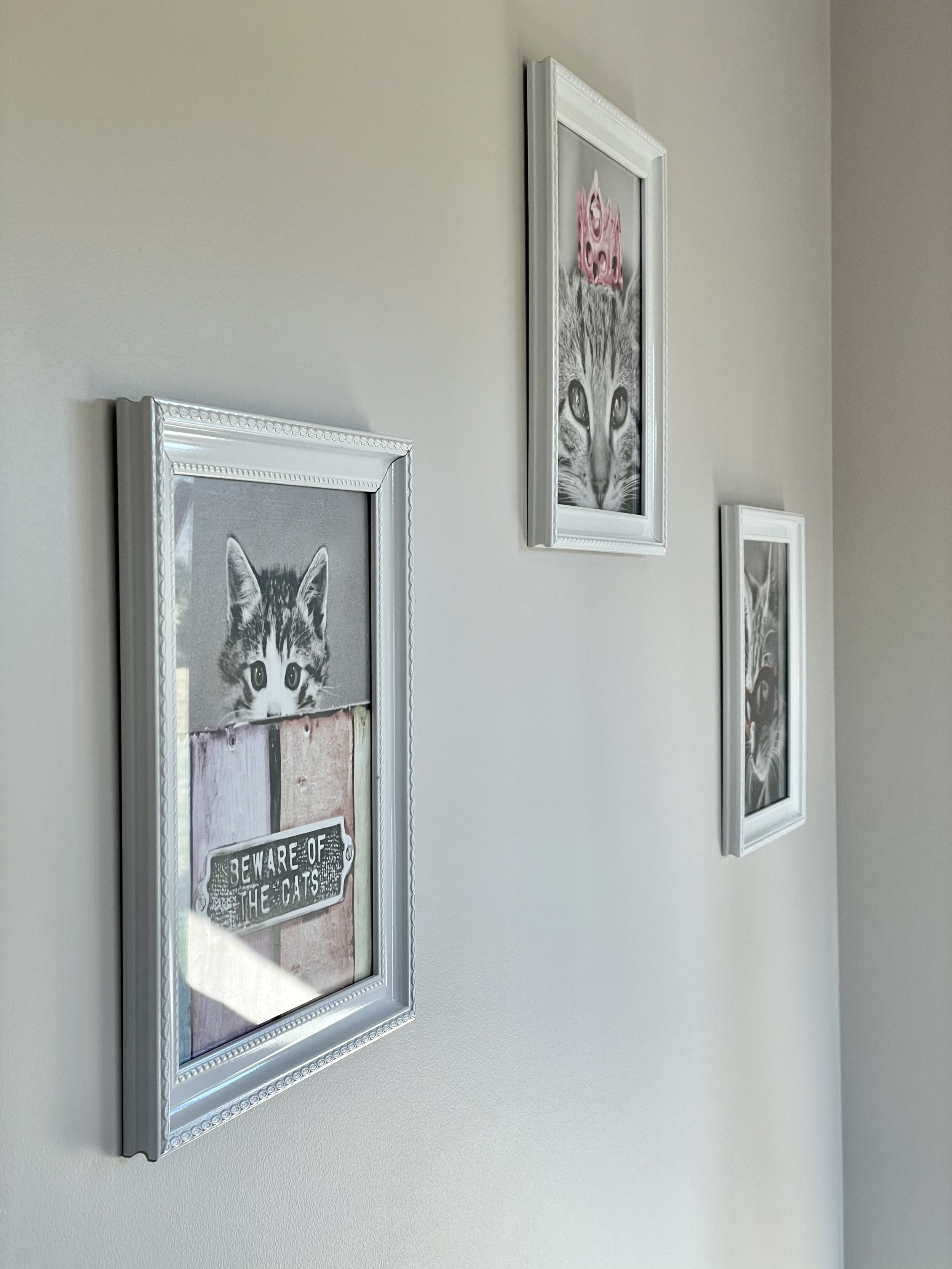 Cat Pics on wall.png