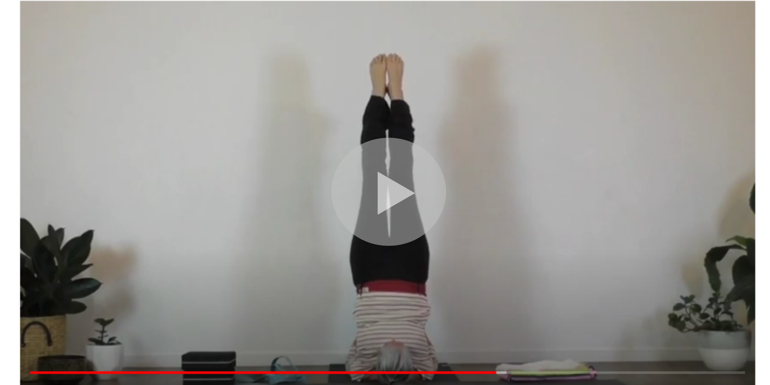Simple Stretch - Shoulder openers into perhaps a Shoulderstand!