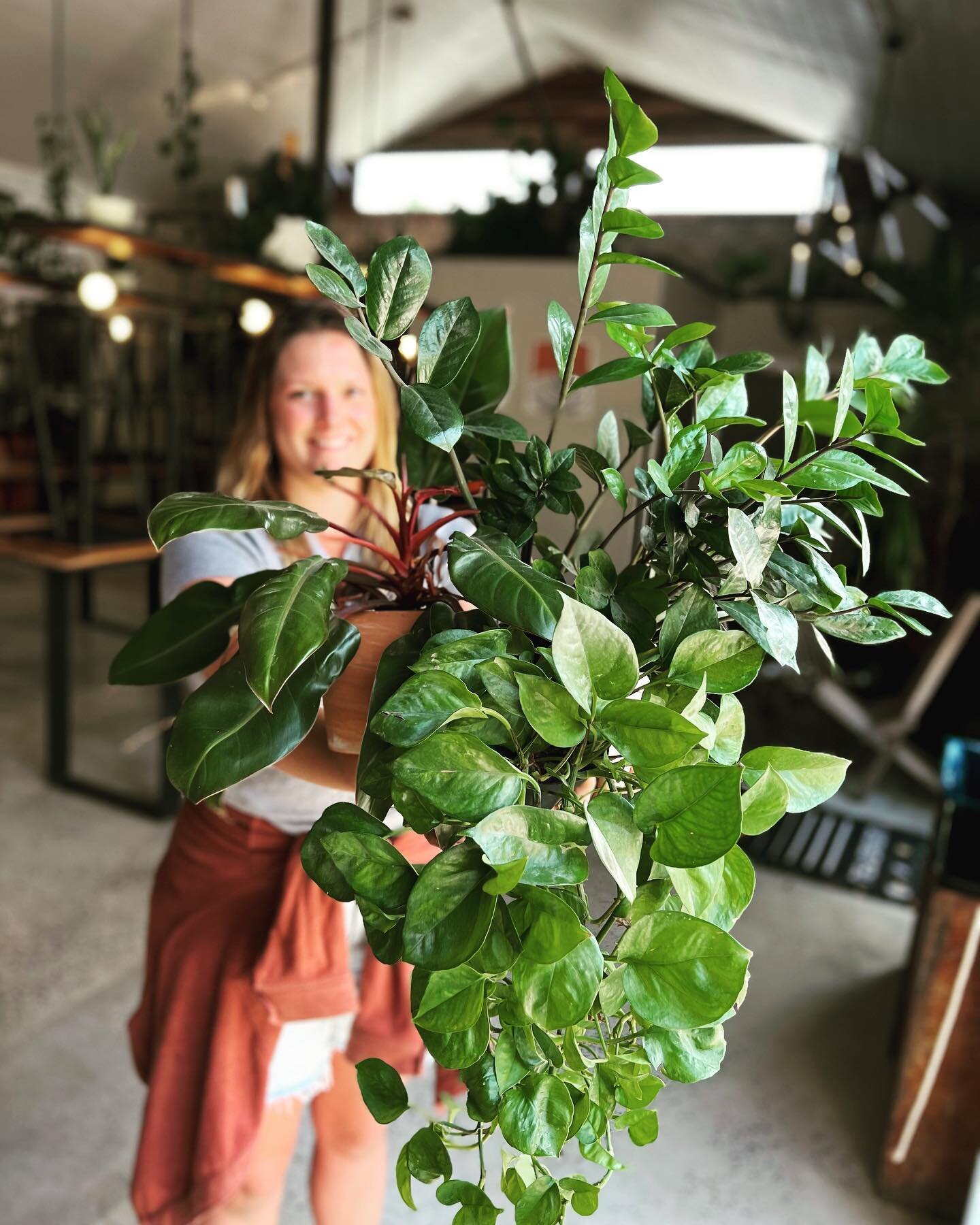 Happy Earth day! 🌳

We are celebrating Mother Earth tomorrow (Sunday) with our 🌿 plant swap 🌿 come gather with all plant enthusiasts from 1-4 pm. 

🌿 bring your own jar/container to transport your new babies 
🌿 all plants are welcome&hellip;. Se