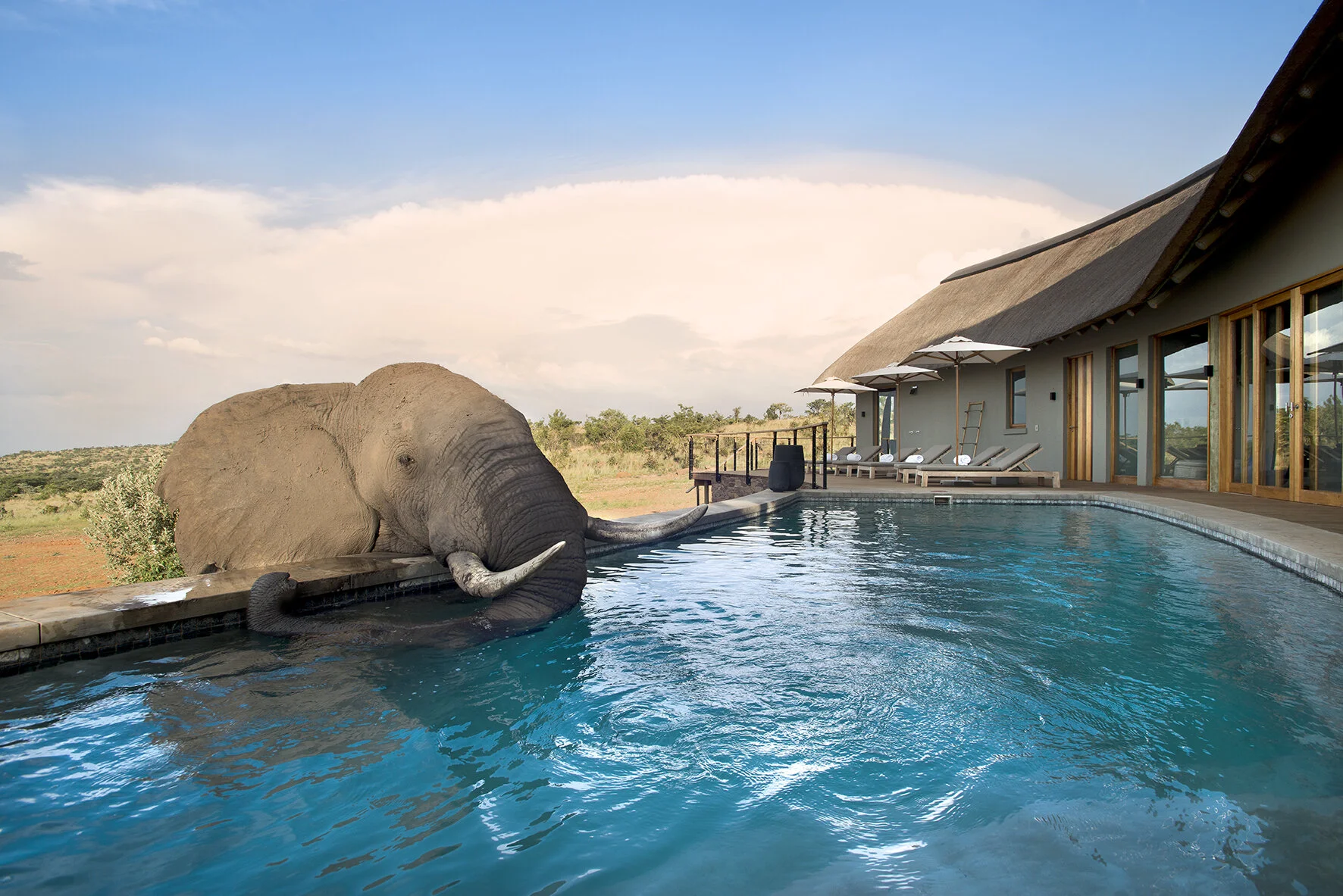 Luxury Safari Trends Shaping African Tourism