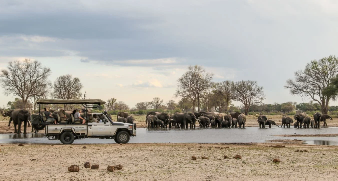 Zimbabwe with Palm River Hotel & Imvelo