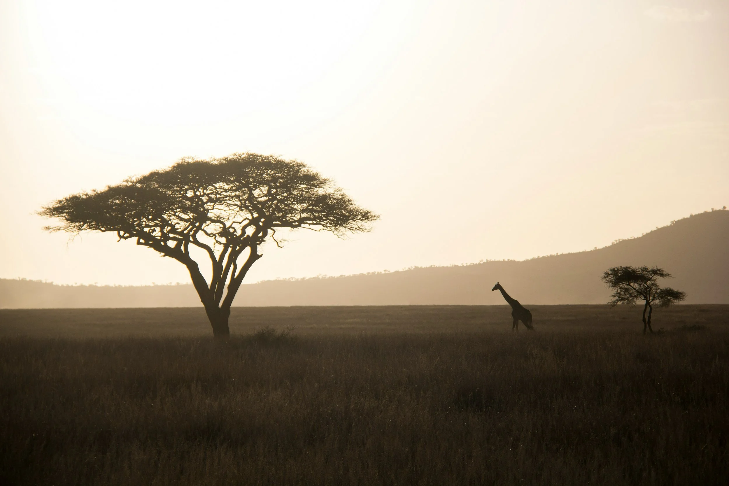 Tanzania with Leopard Tours