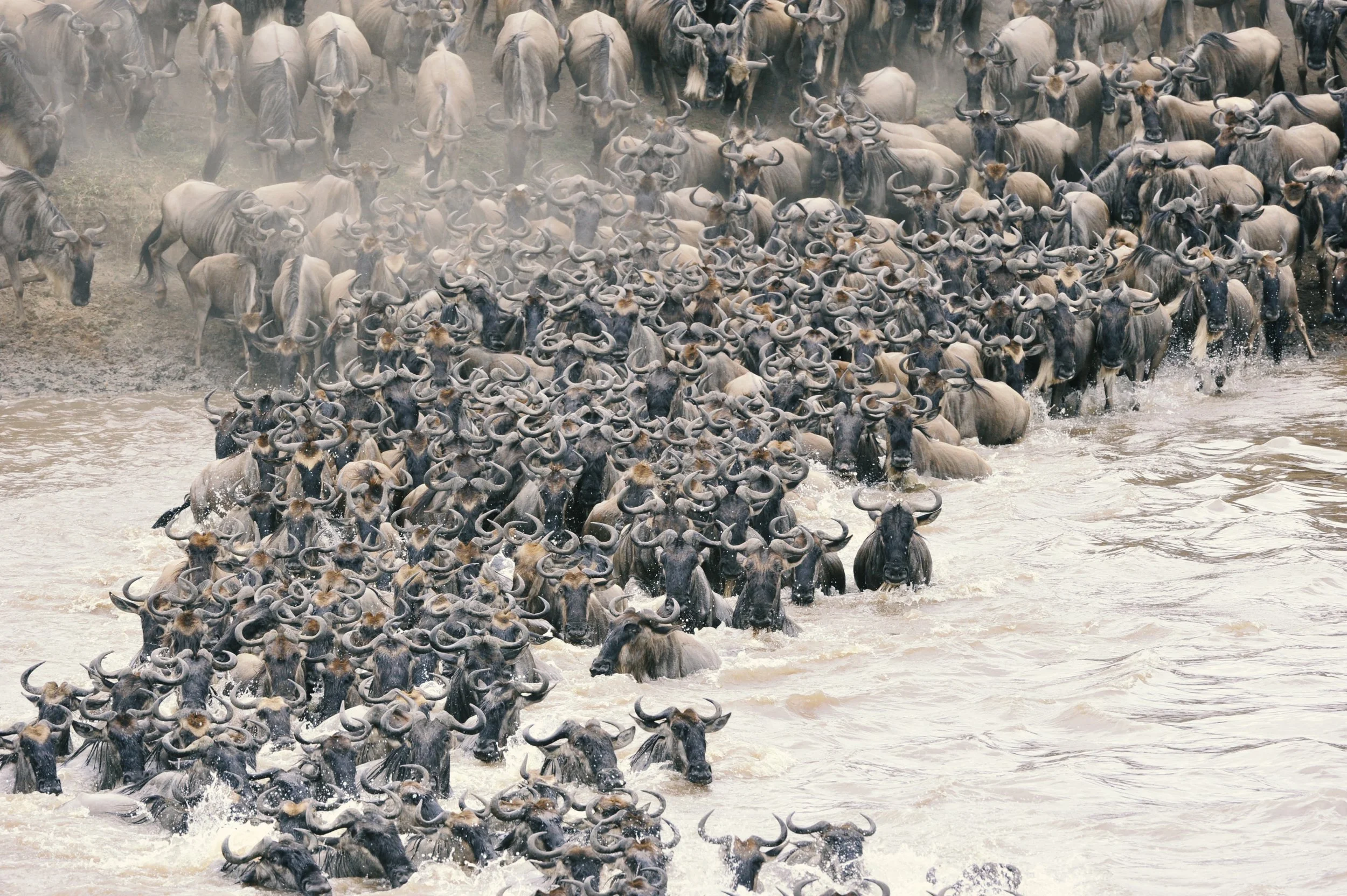 
LEOPARD TOURS: Tanzania