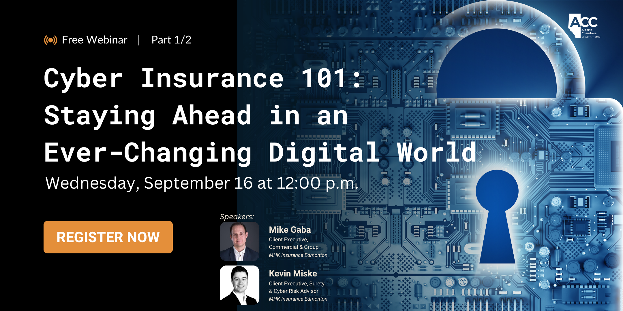 Cyber Insurance 101  (part 1 of 2)