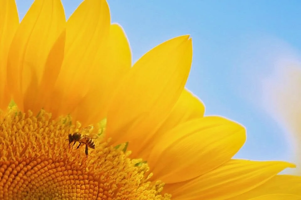 FullSizeRender 23.JPG