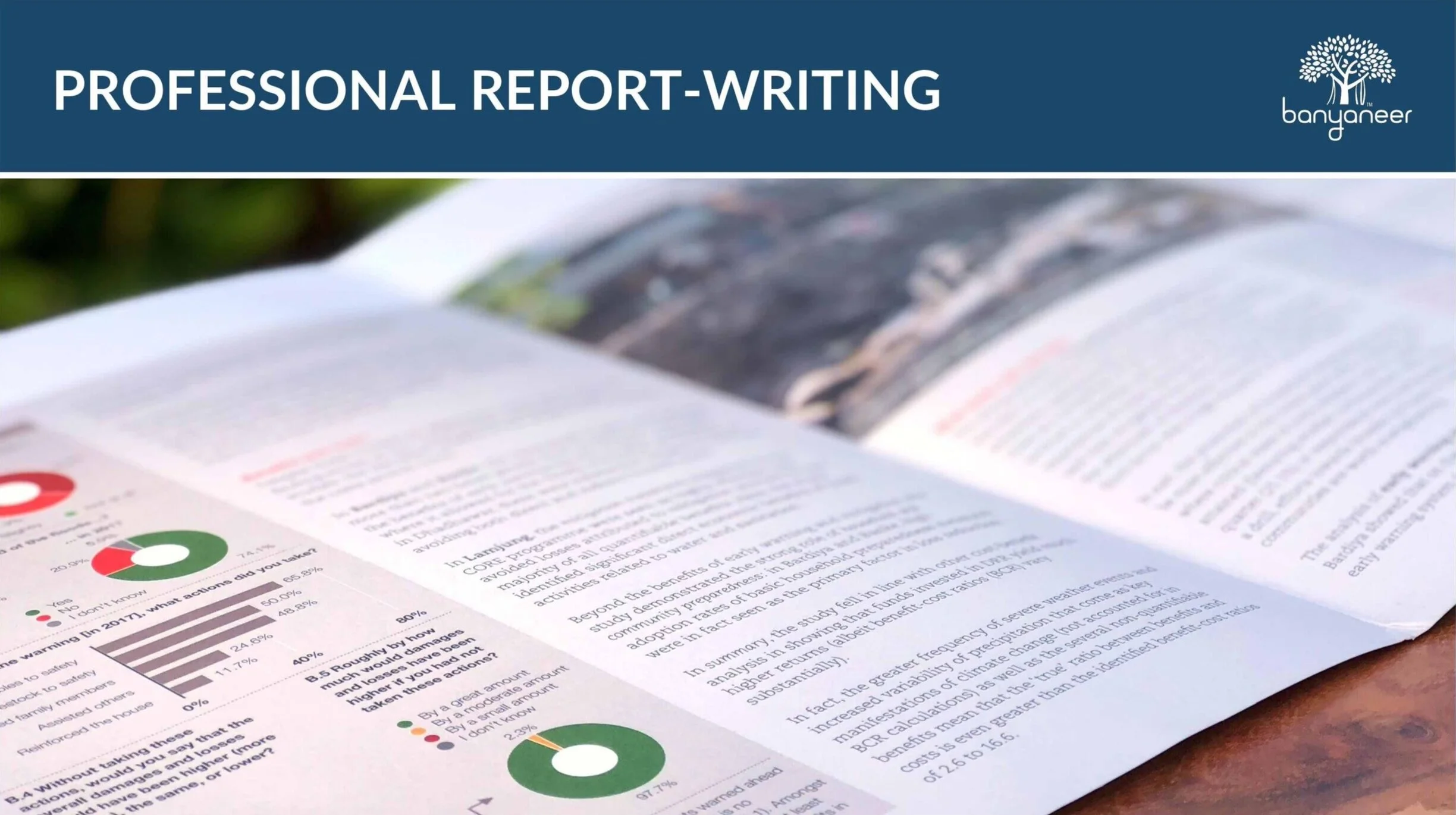 Professional report-writing