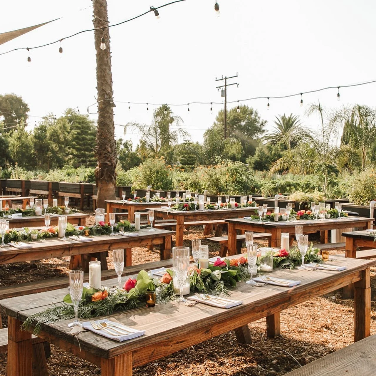 RIVERBED FARM - ANAHEIM, CA