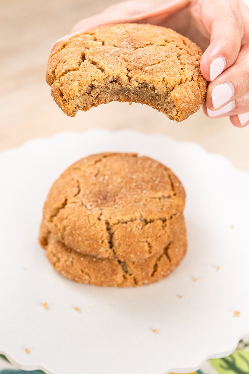 Snickerdoodle-Cookie-Action.jpg