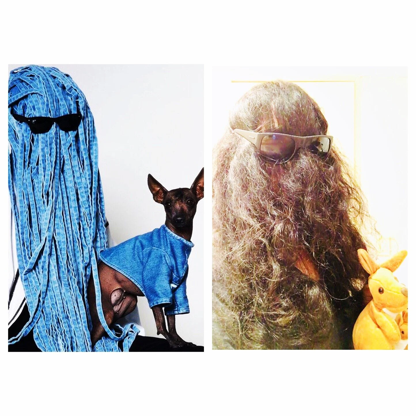 Hair conditioner addiction. or INCOGNITO  look