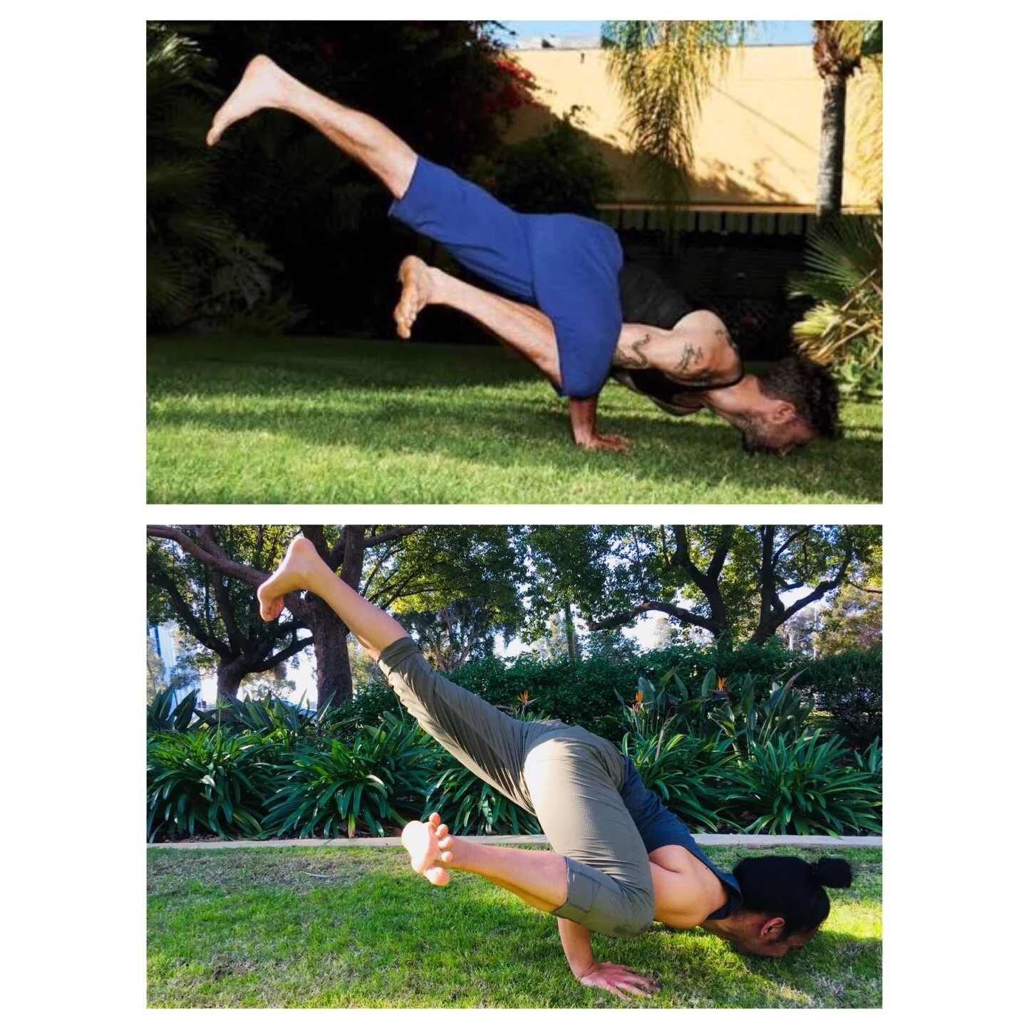 Earthing. Or eating dirt. Not sure yet