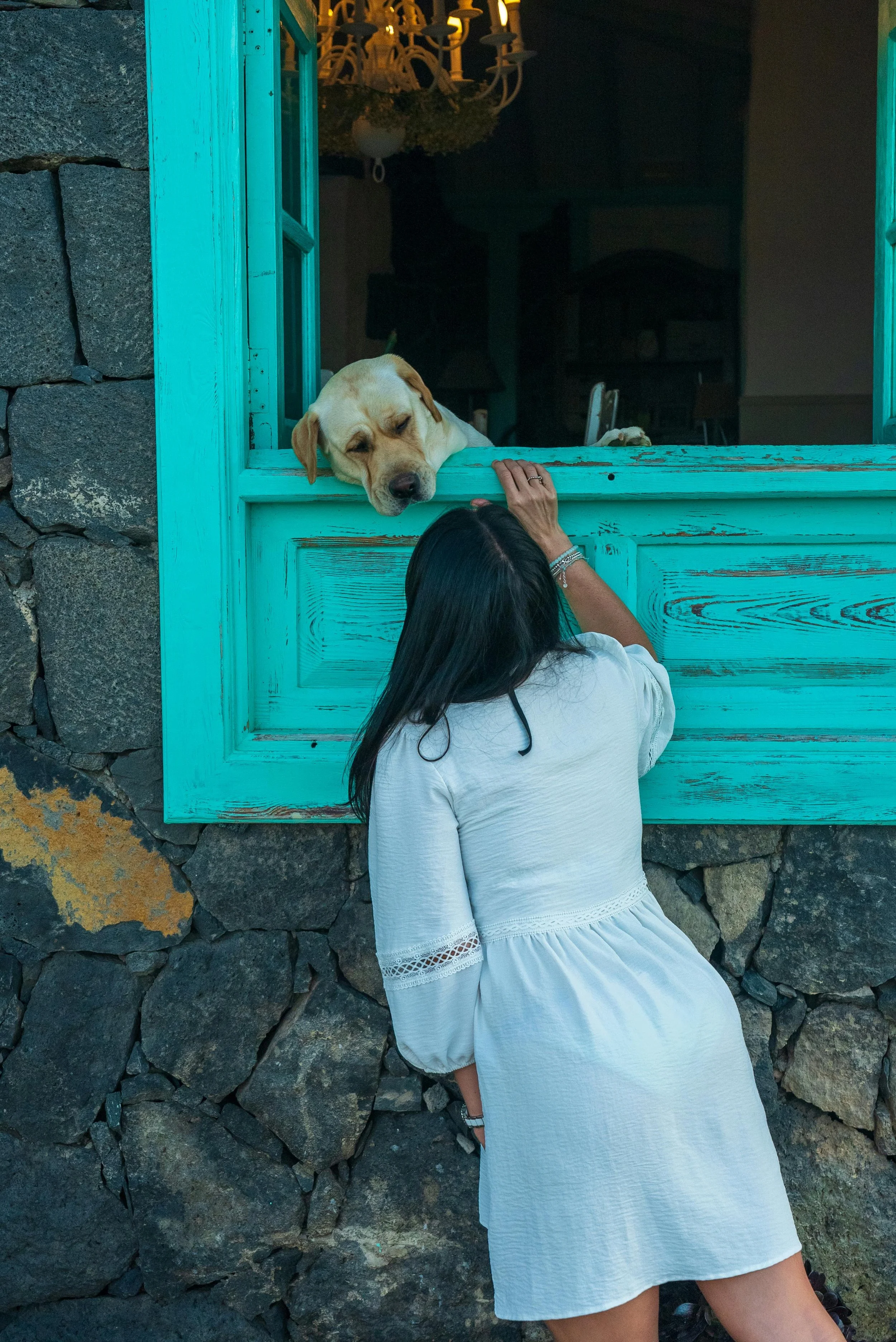 A woman in a white dress interacts with a yellow Labrador retriever through an open turquoise window, with the dog's head resting on the window ledge.