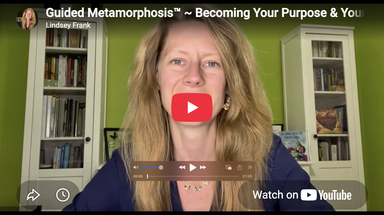Guided Metamorphosis Overview Cover