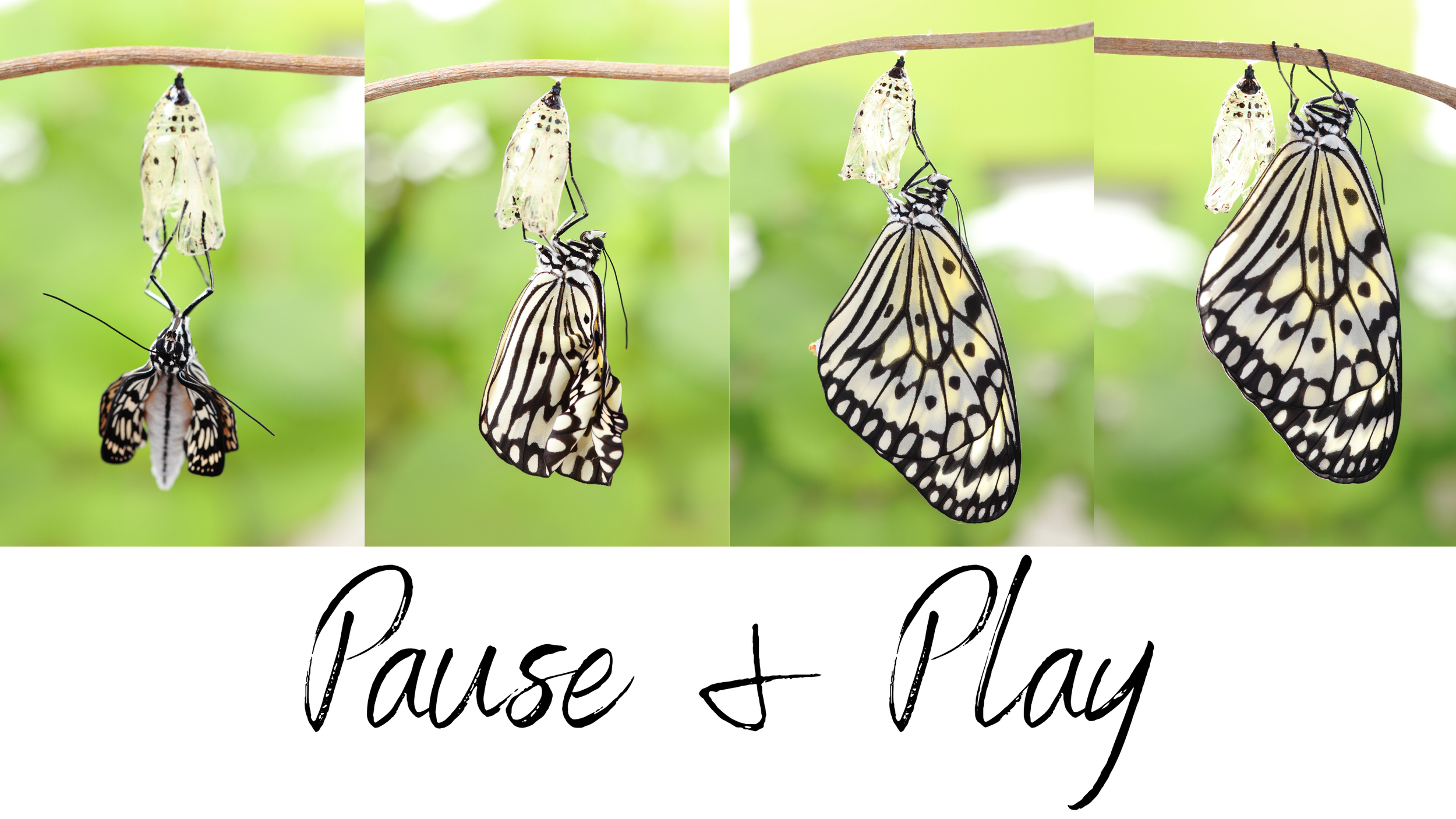 The Power of Pause and Play: How Stepping Away Creates Clarity, Purpose, and Transformation