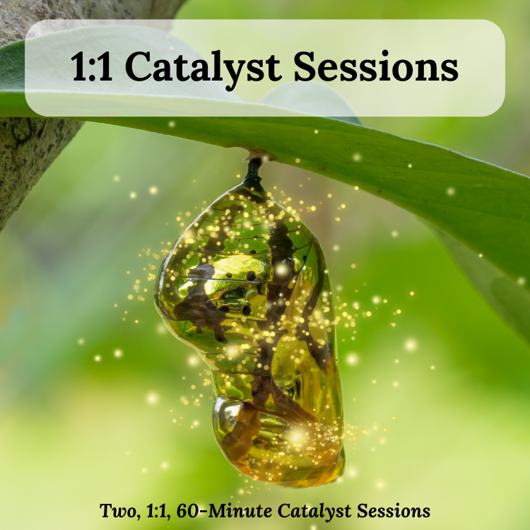 1:1 Catalyst Sessions