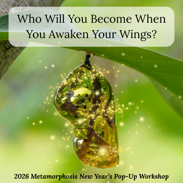 Who Will You Become When You Awaken Your Wings.png