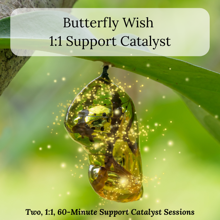 2026 Metamorphosis ~ 1:1 Support Catalyst