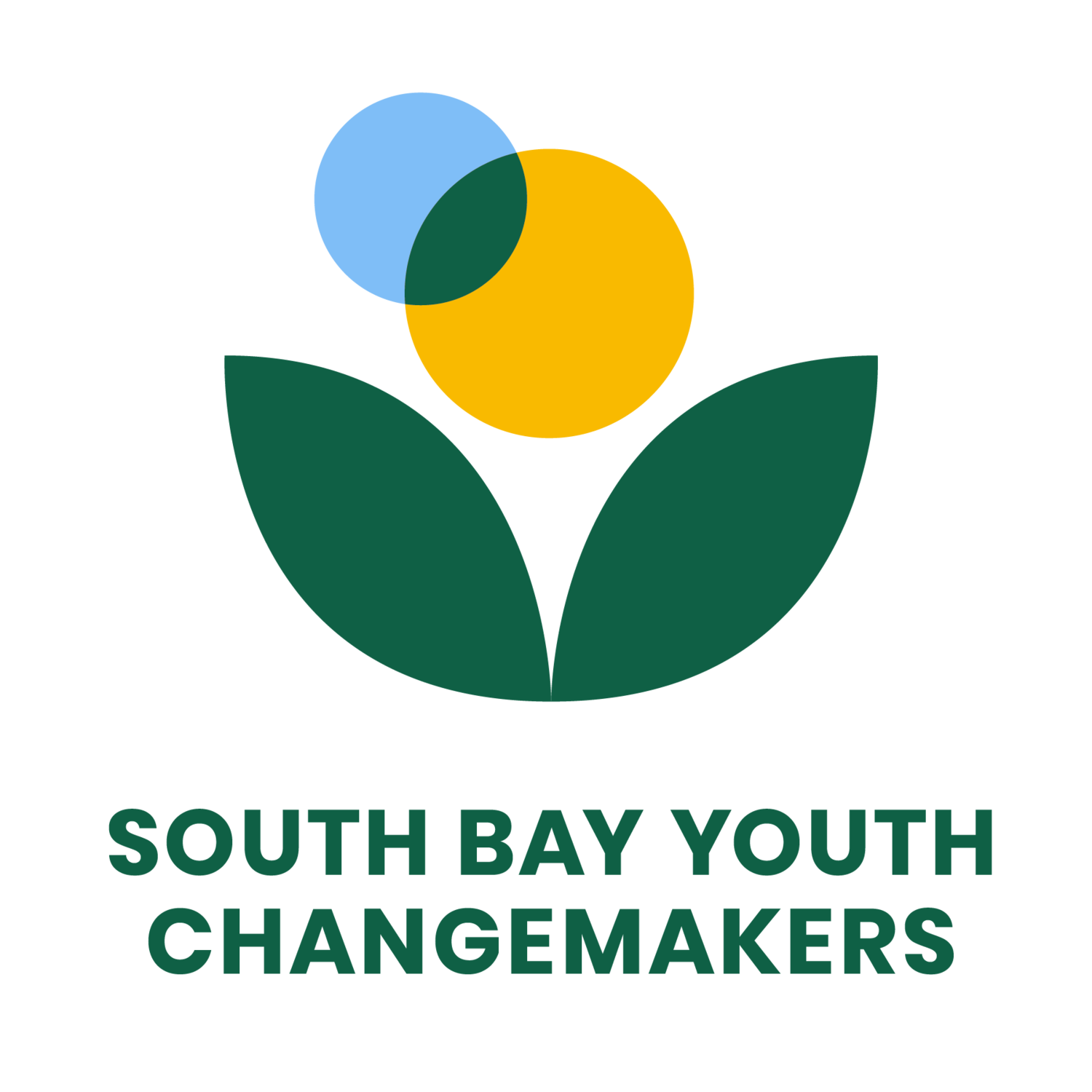 South Bay Youth Changemakers