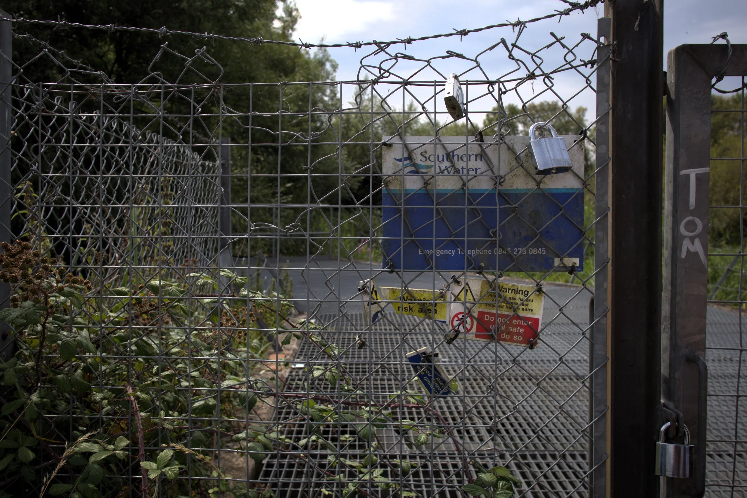 Where Is Susie Salmon? The Body That Remains Missing - z1887x6