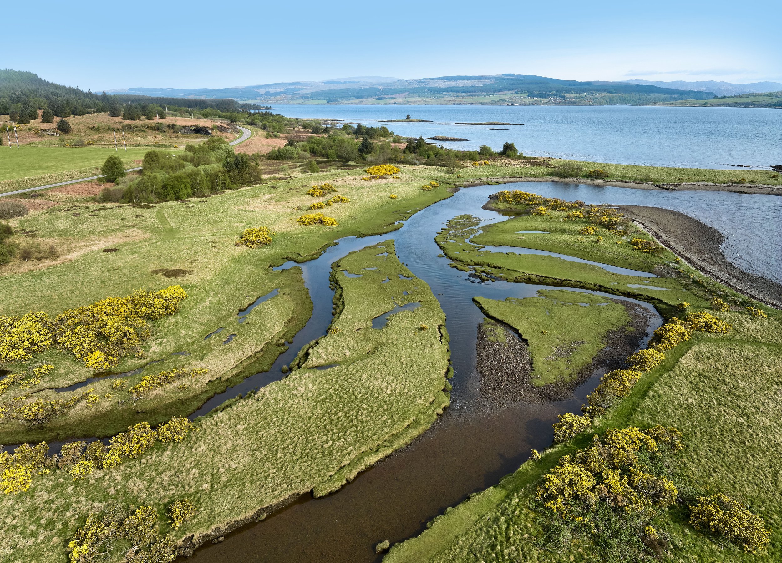 Job Vacancy: Wild Salmon Inshore Policy Manager