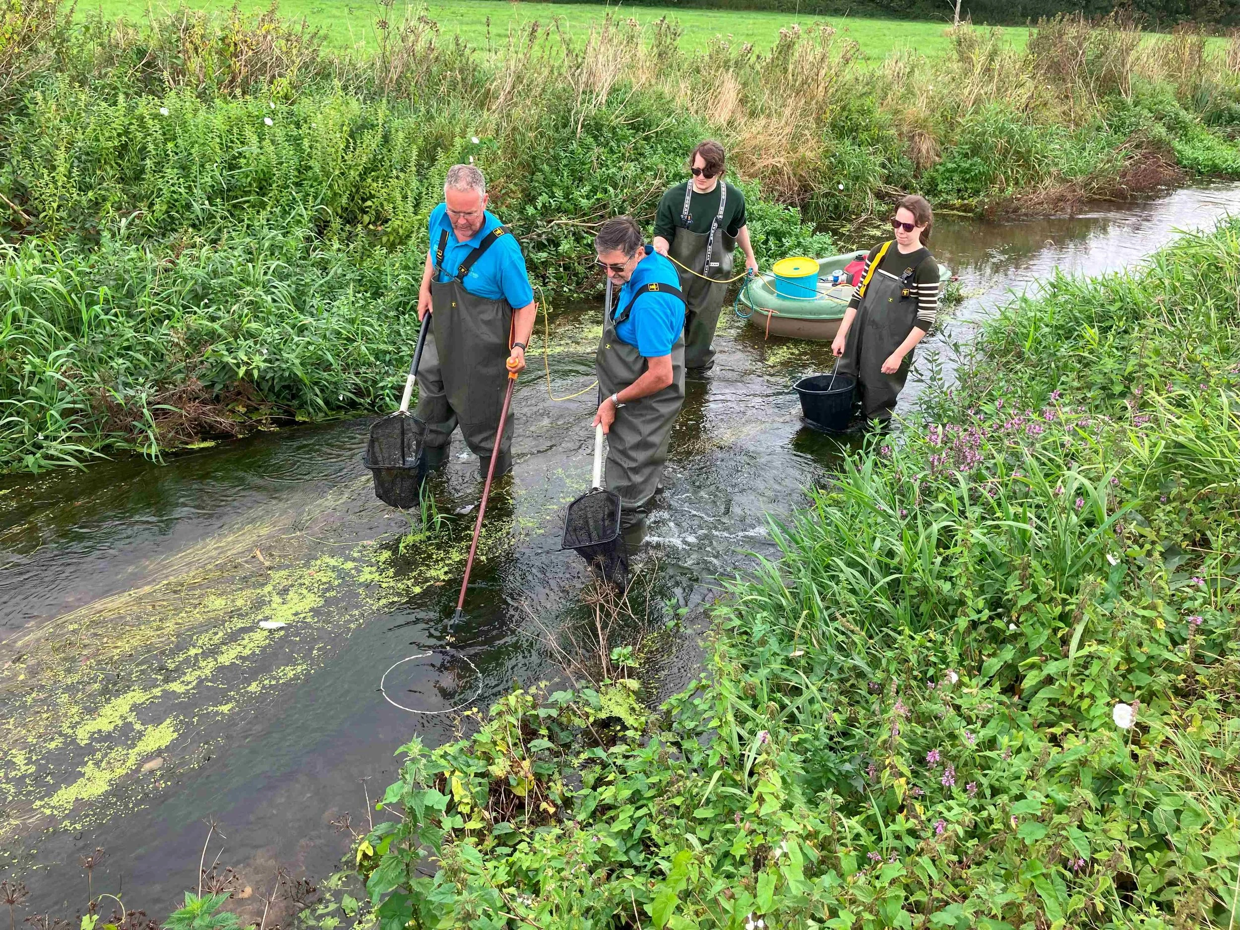 New research shows that as few as 1% of wild Atlantic salmon are returning to spawn