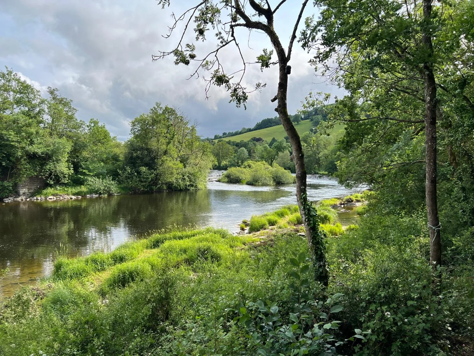 Missing Salmon Alliance extends collaboration in Wales with new Member, Afonydd Cymru &nbsp;