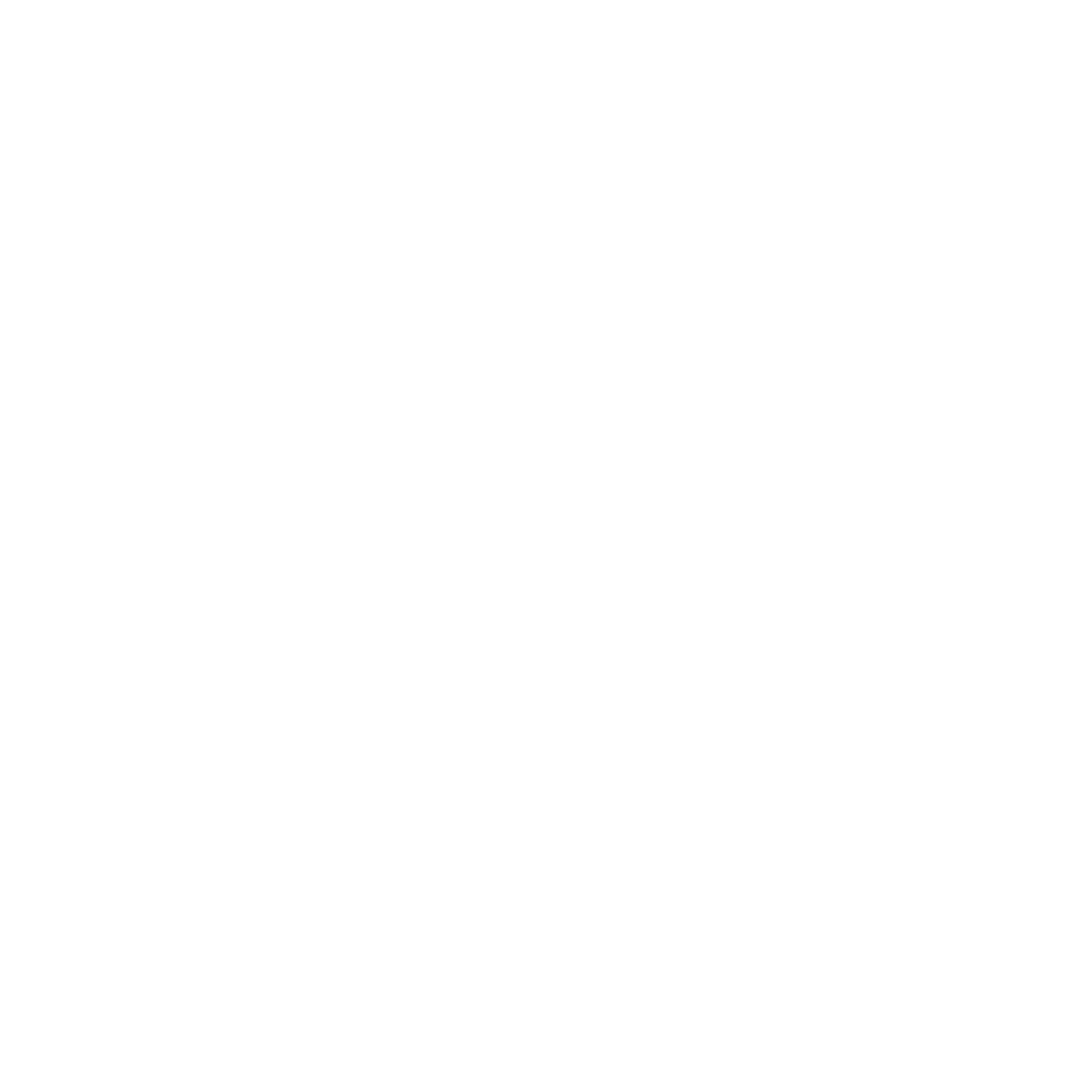 Risk & Safety Services — Royal Life Saving South Australia
