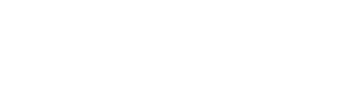 waka_kotahi_logo_white.png