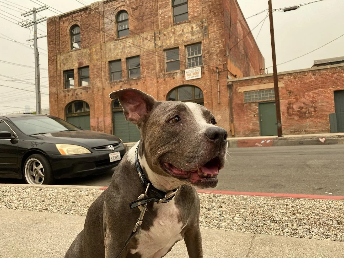 Went out to find this bar, but the open sign is always off. Had no clue that a portal to Philadelphia existed in LA.