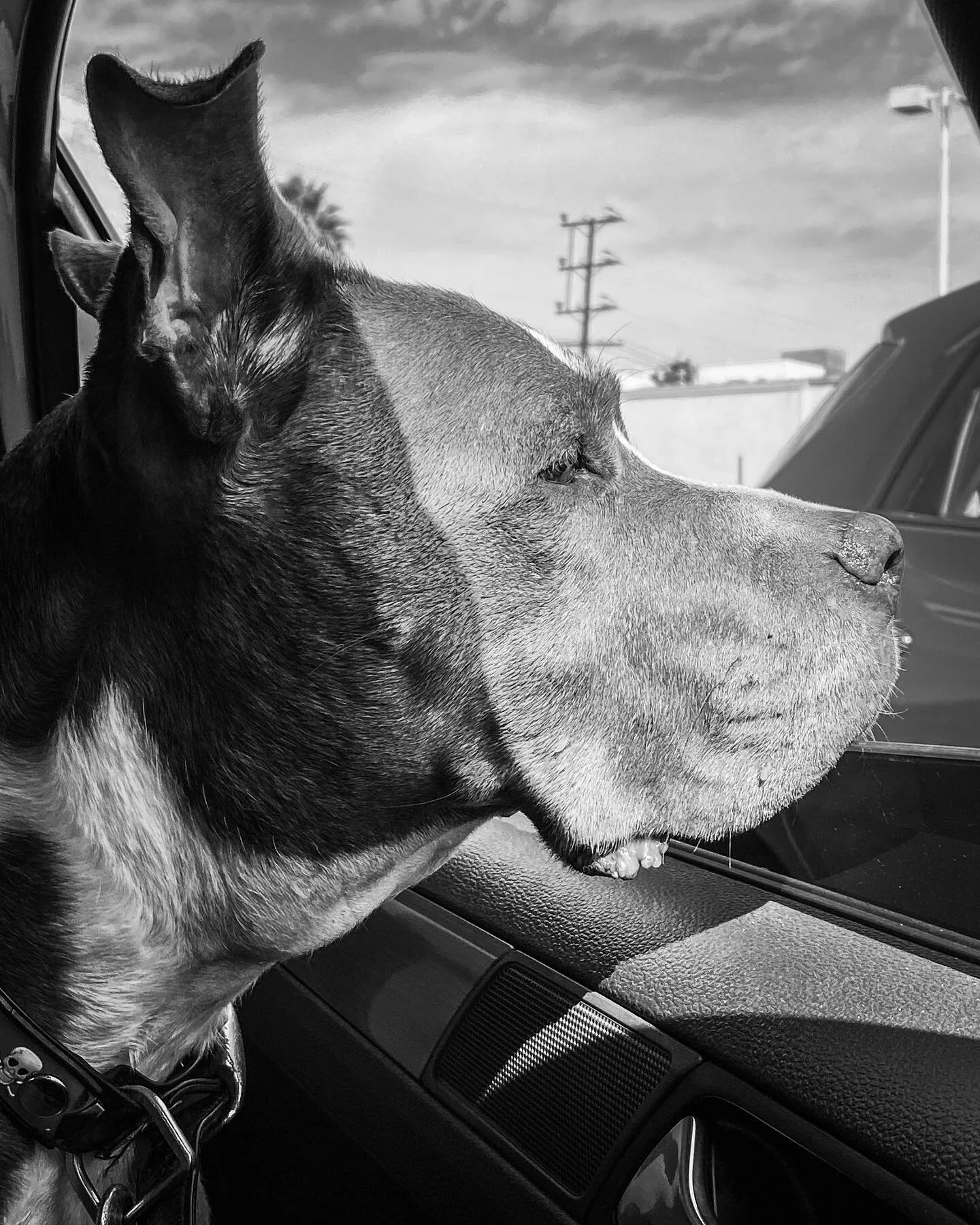 Where is dad. Photo by @solidsoulart