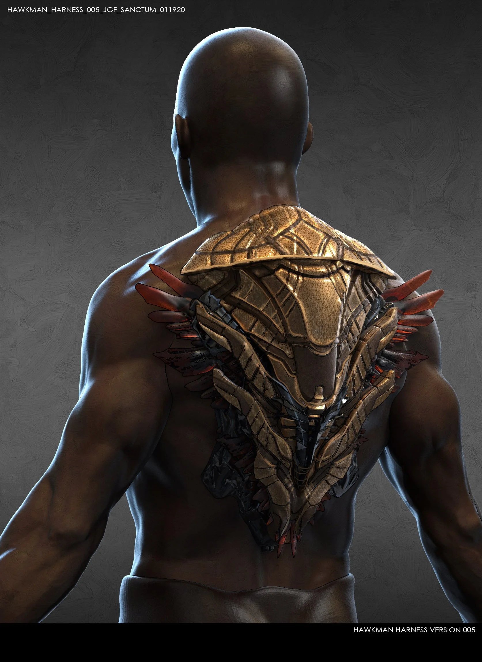 Hawkman_harness_005_JGF_Sanctum_011920.jpg