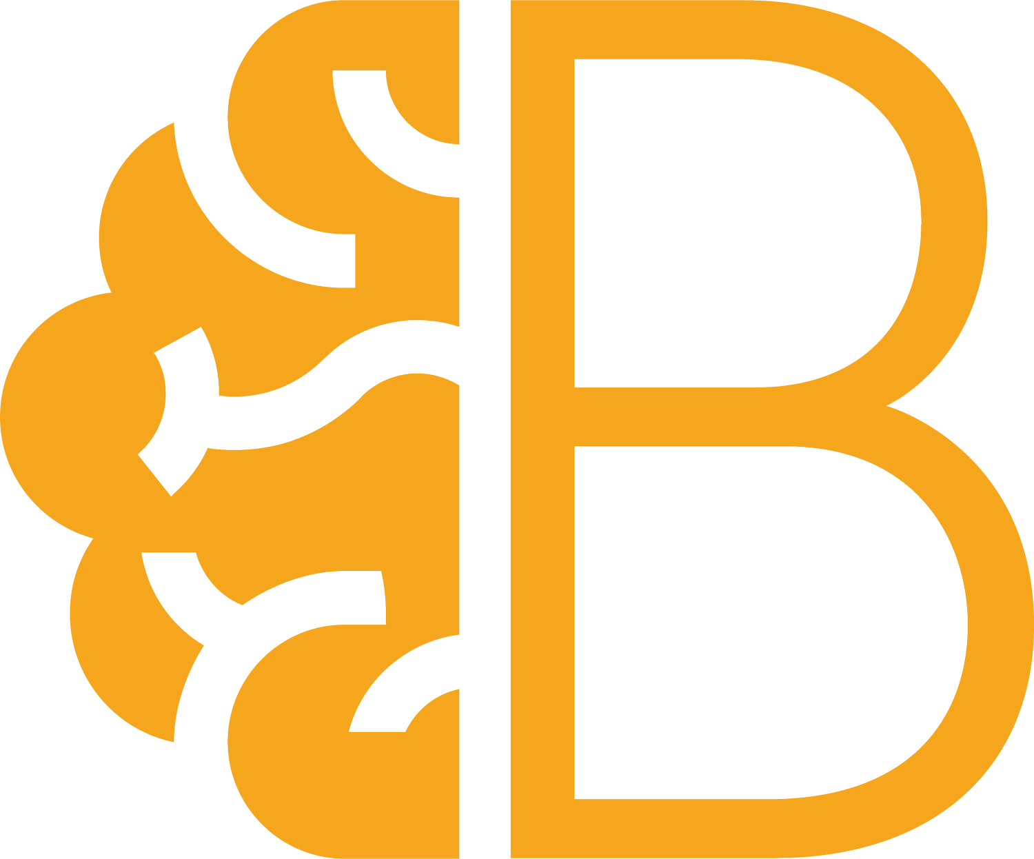 Behaviour Support Practitioner