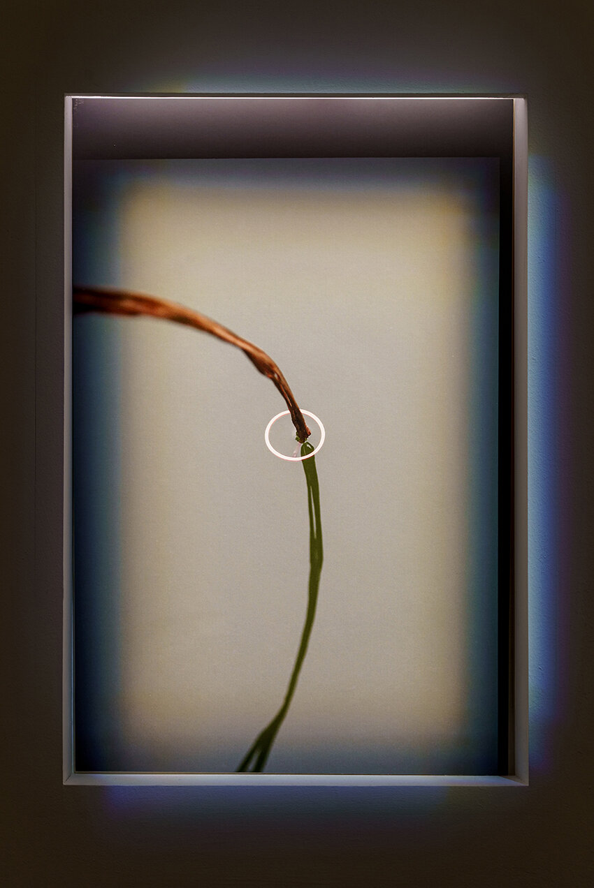 In The Mi(d)st Of Pale Breathe” by Viriya Chotpanyavisut — ARCTRIBE MAG. In The Mi(d)st Of Pale Breathe” by Viriya Chotpanyavisut — ARCTRIBE MAG.