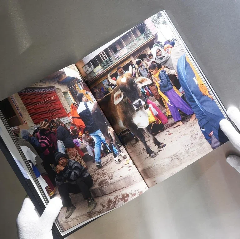 IMG_5988.JPG.webp