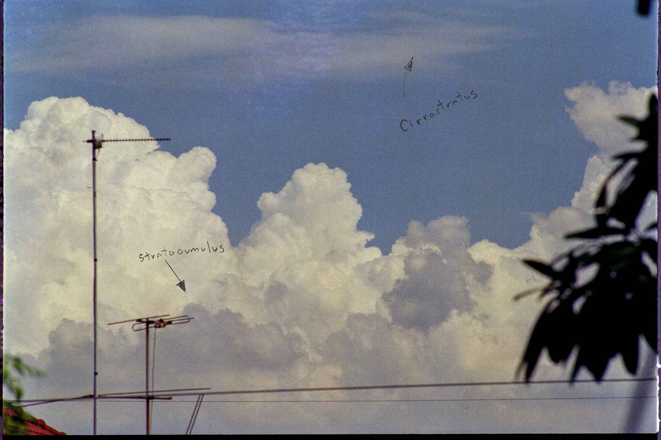 001-82.jpg