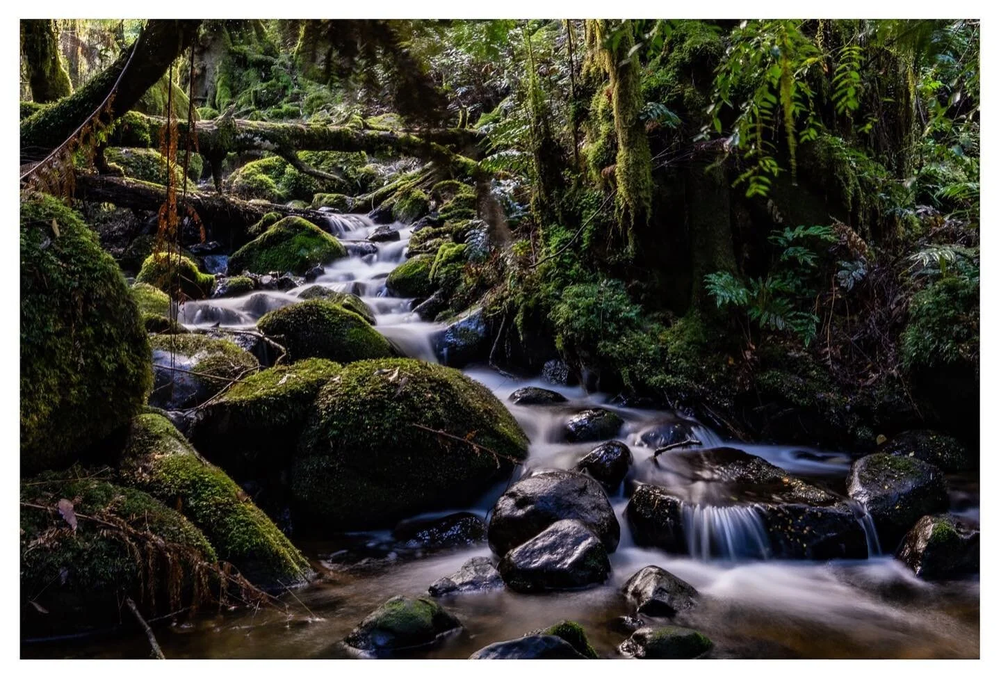One of the best sounds in the world is a secluded creek in the mountains
.
📍Yathan Creek - Warburton
.
24mm/f9/2sec no filter
.
@sonyalpha.anz 
@sonyaustralia 
#sonyalphaanz