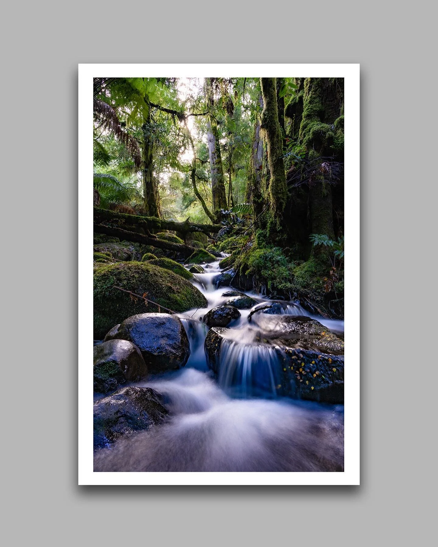 Landscape prints are now available through my site. 

Click the link in my bio or head over to samandersoncaptures.com to order. Available in 8x12, 16x24 and 24x36. Custom sizes also available.

These three images were shot at Mt Donna Buang on the o