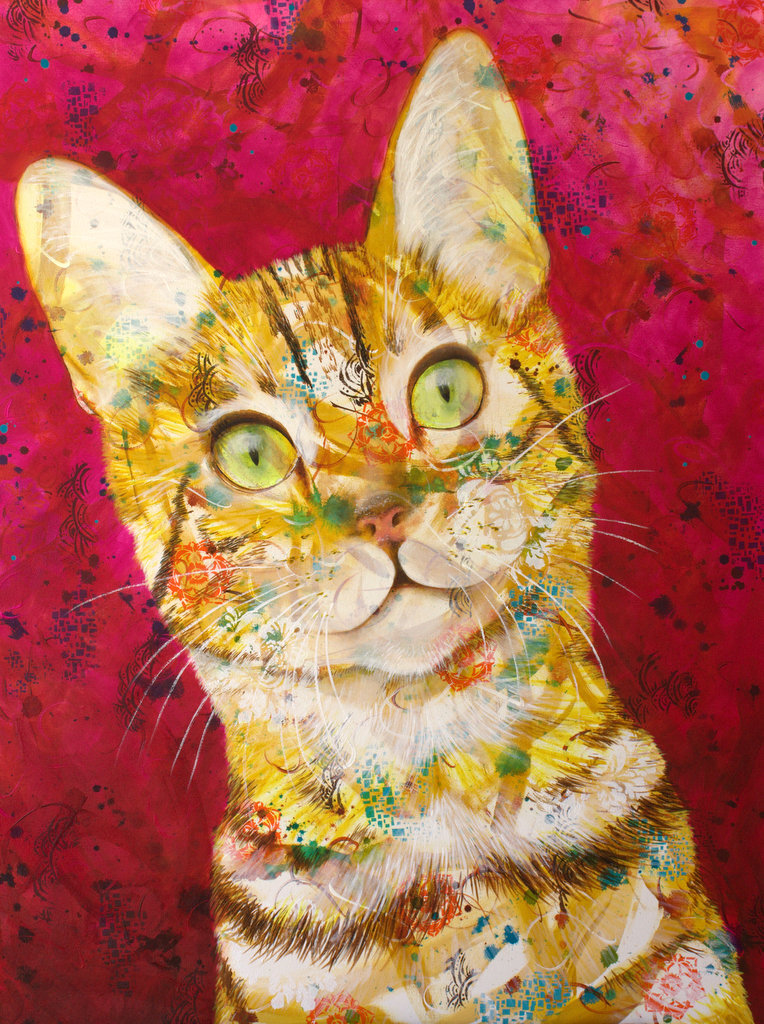 What are you doing? - tabby cat portrait