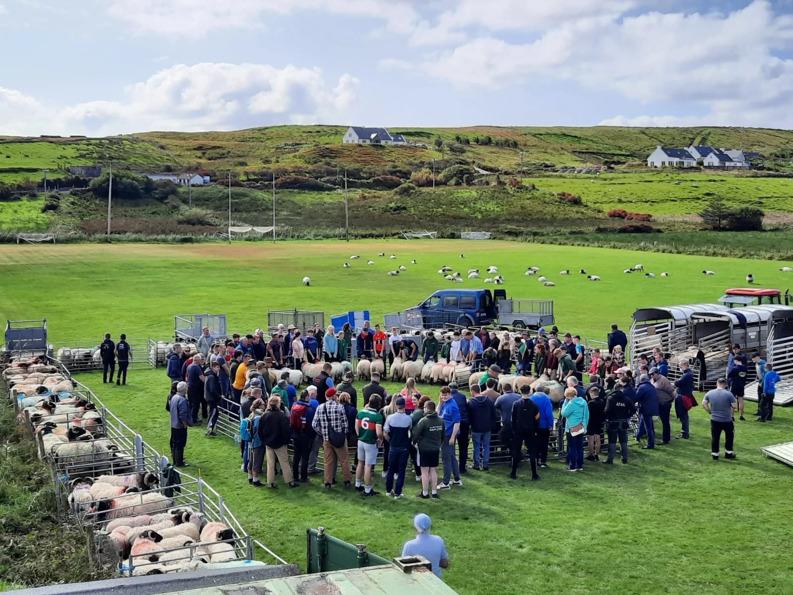 Clare Island Ram Fair 2026