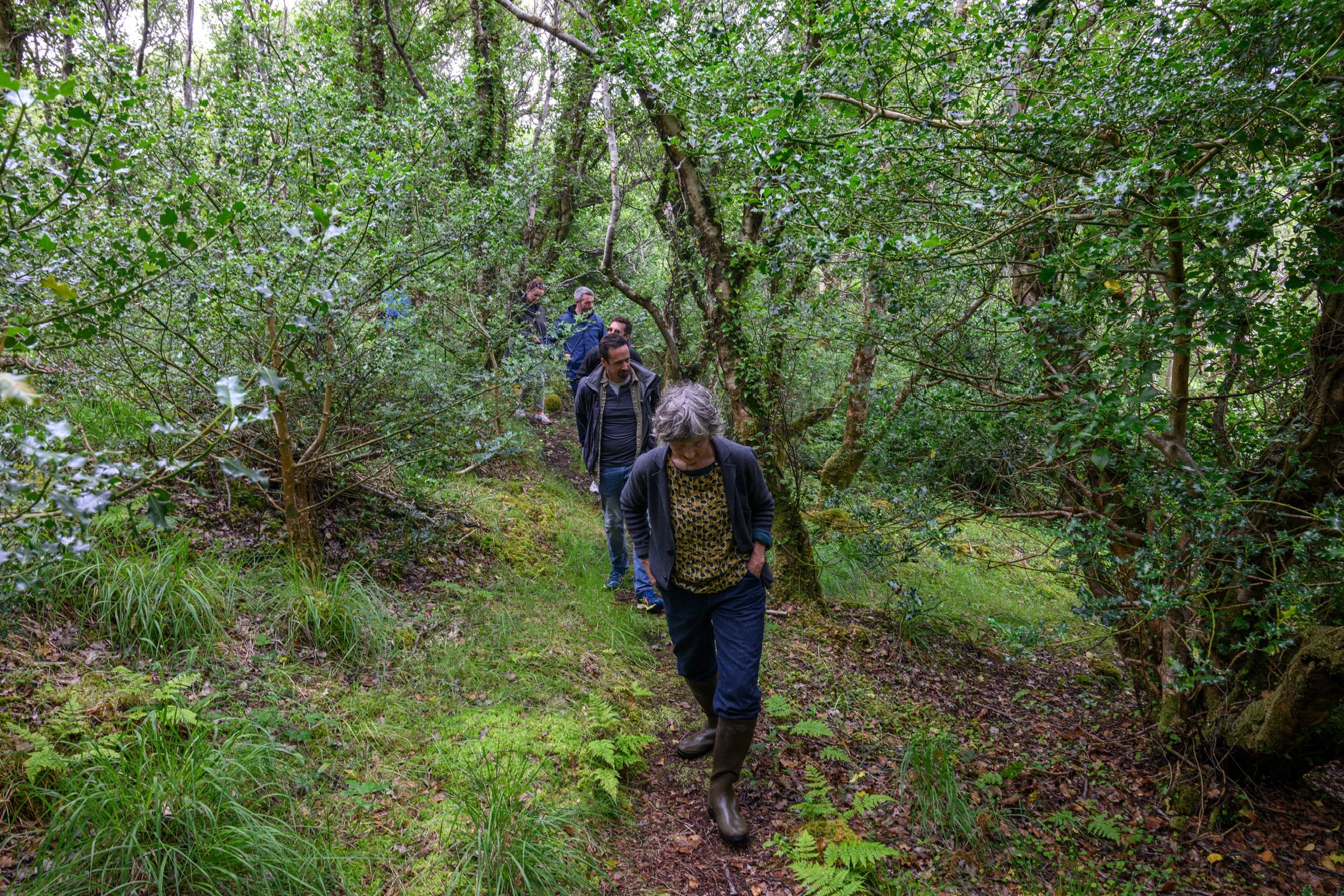 Macalla Farm Sati Yoga & Meditation Retreat