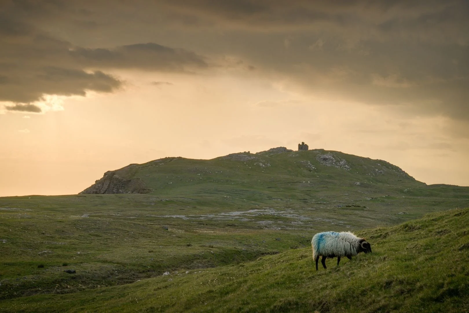 sunset-napoleonic-tower-clare-island-tuar-mor 6856.jpg