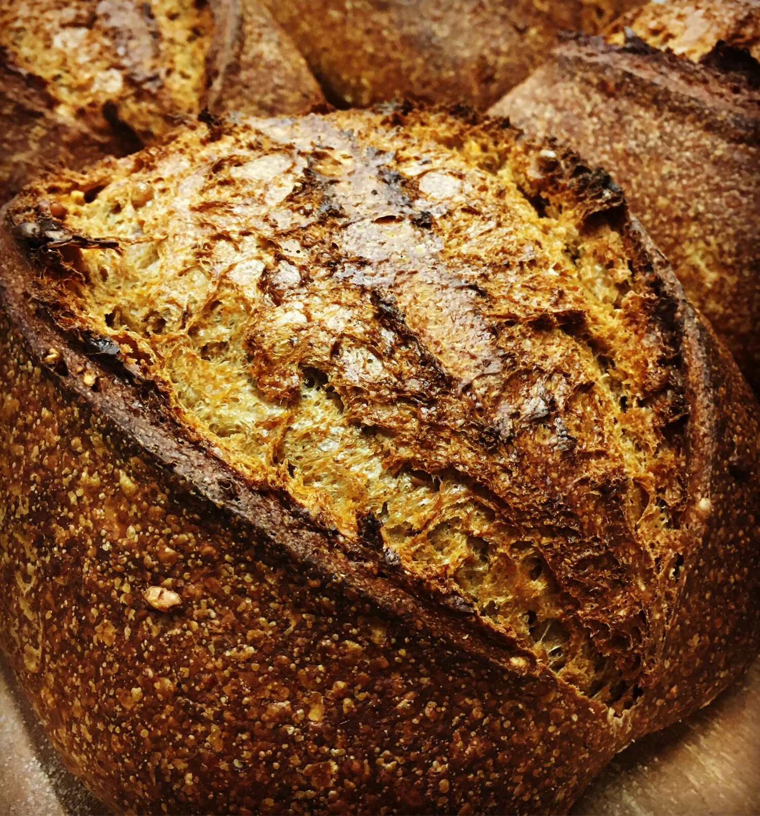 XMAS Blake’s Malt Crunch Sourdough
