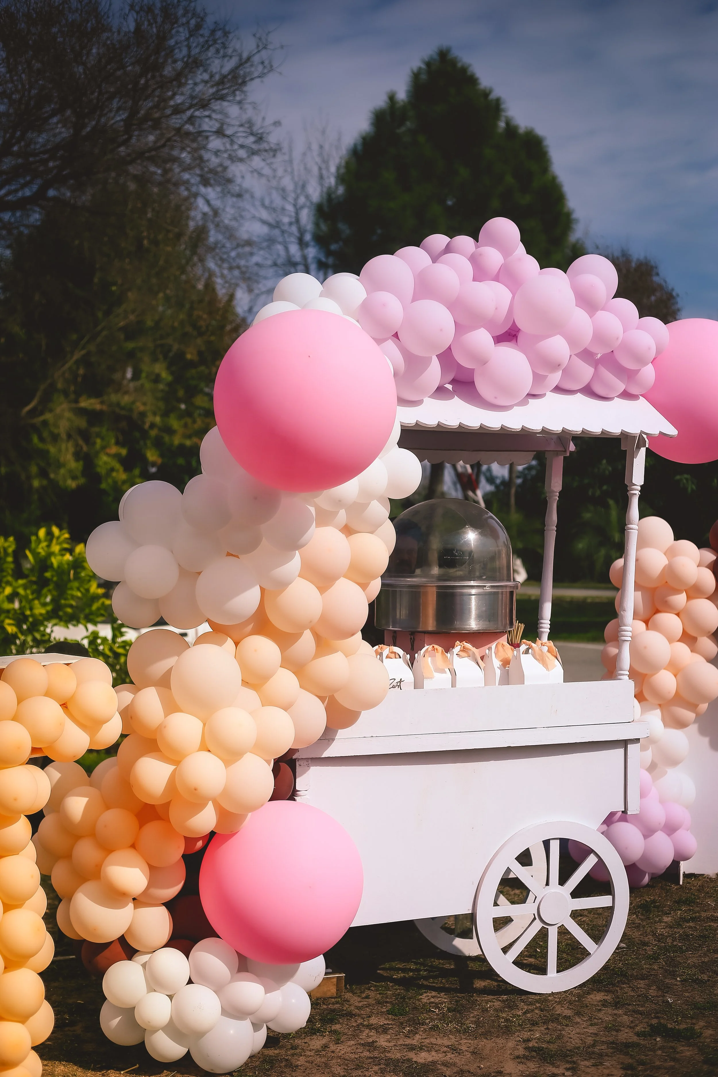Outdoor cotton candy cart adorned with pastel balloons