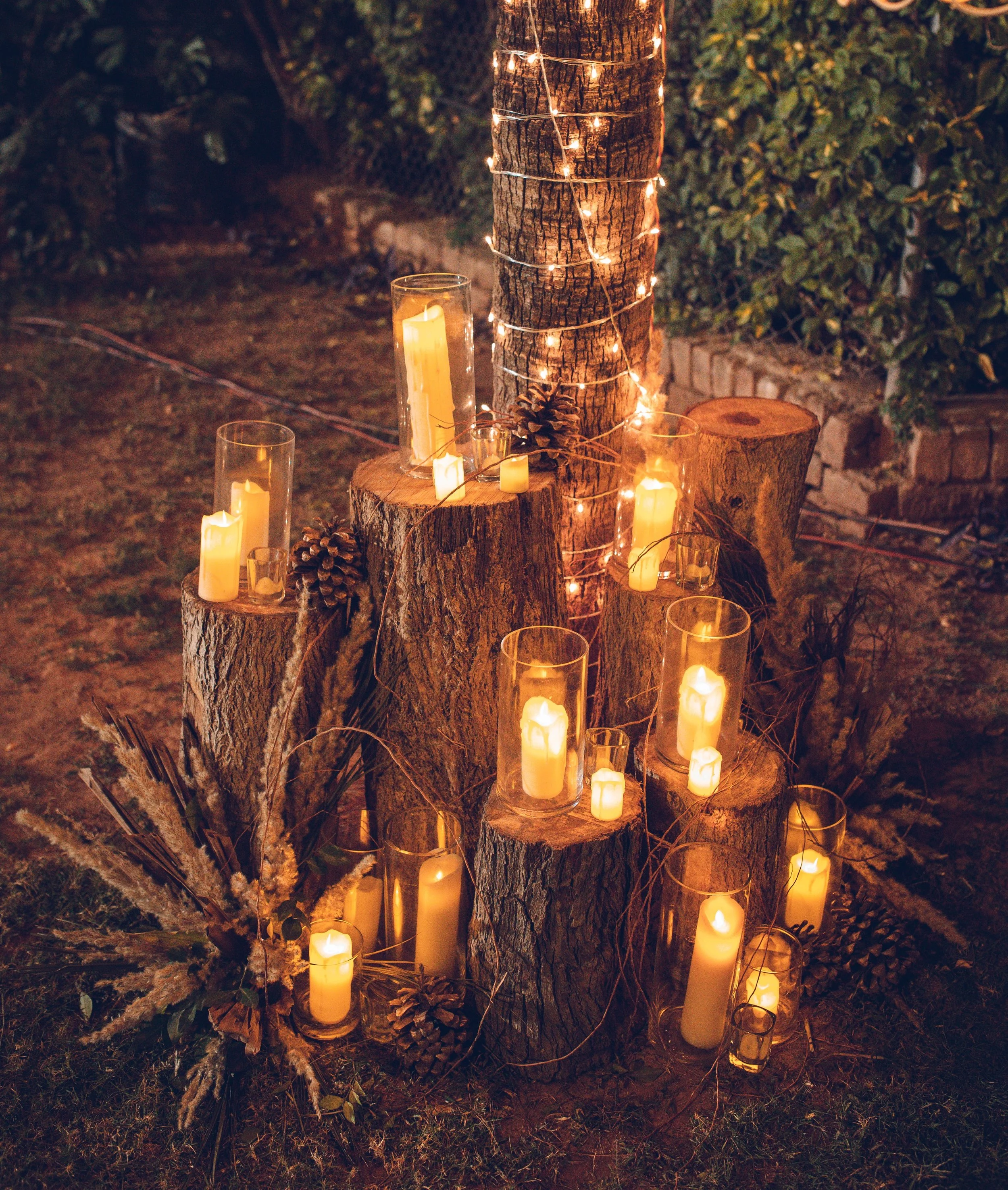 Outdoor rustic display with lit candles on tree stumps and string lights wrapped around a tree, surrounded by foliage and pinecones, creating a cozy, warm atmosphere.